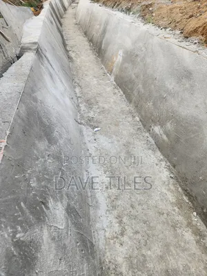 Trapedsodia Drainage