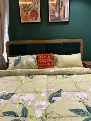 Cozy 1 Bedroom Shortlet Apartment in Surulere