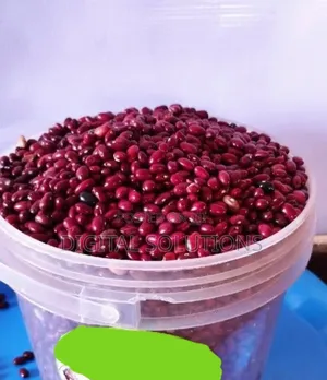 Red Kidney Beans Per 1 Paint Bucket.