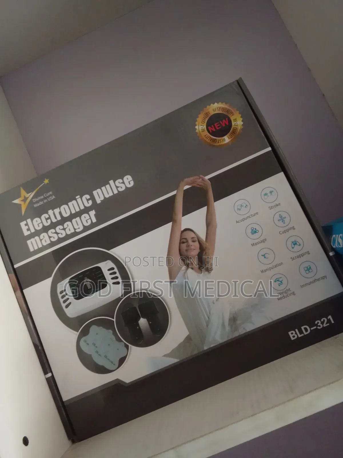 Electronic Pulse Massager