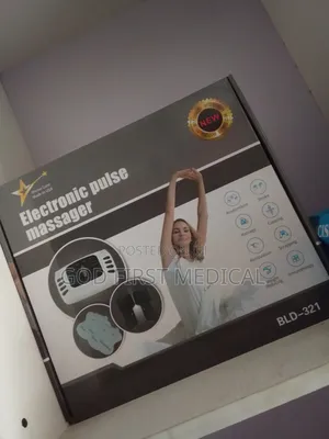 Electronic Pulse Massager