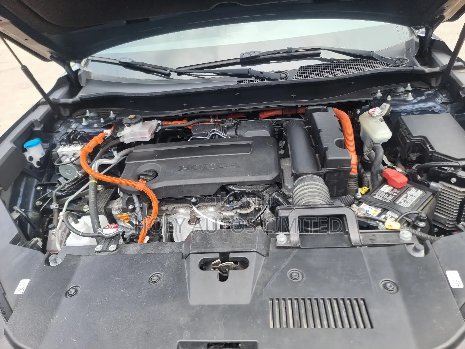 Honda CR-V 2024 Blue