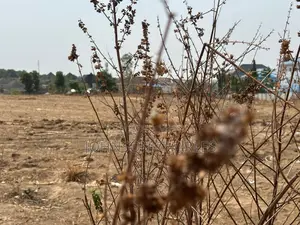 Plots of Land in an Estate in Lokogoma