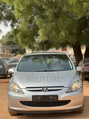 Peugeot 307 2005 Silver