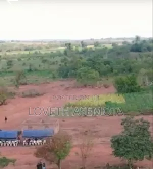 Cassava Farm Land in Oyo State (Ikore) Iseyin