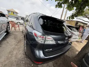 Lexus RX 350 2010 Gray