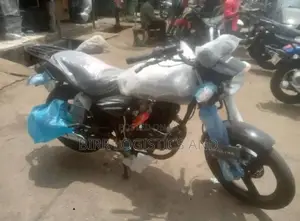 Dispatch Delivery in Central Area, Abuja