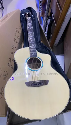 Bullfighter Electro-acoustic Guitar