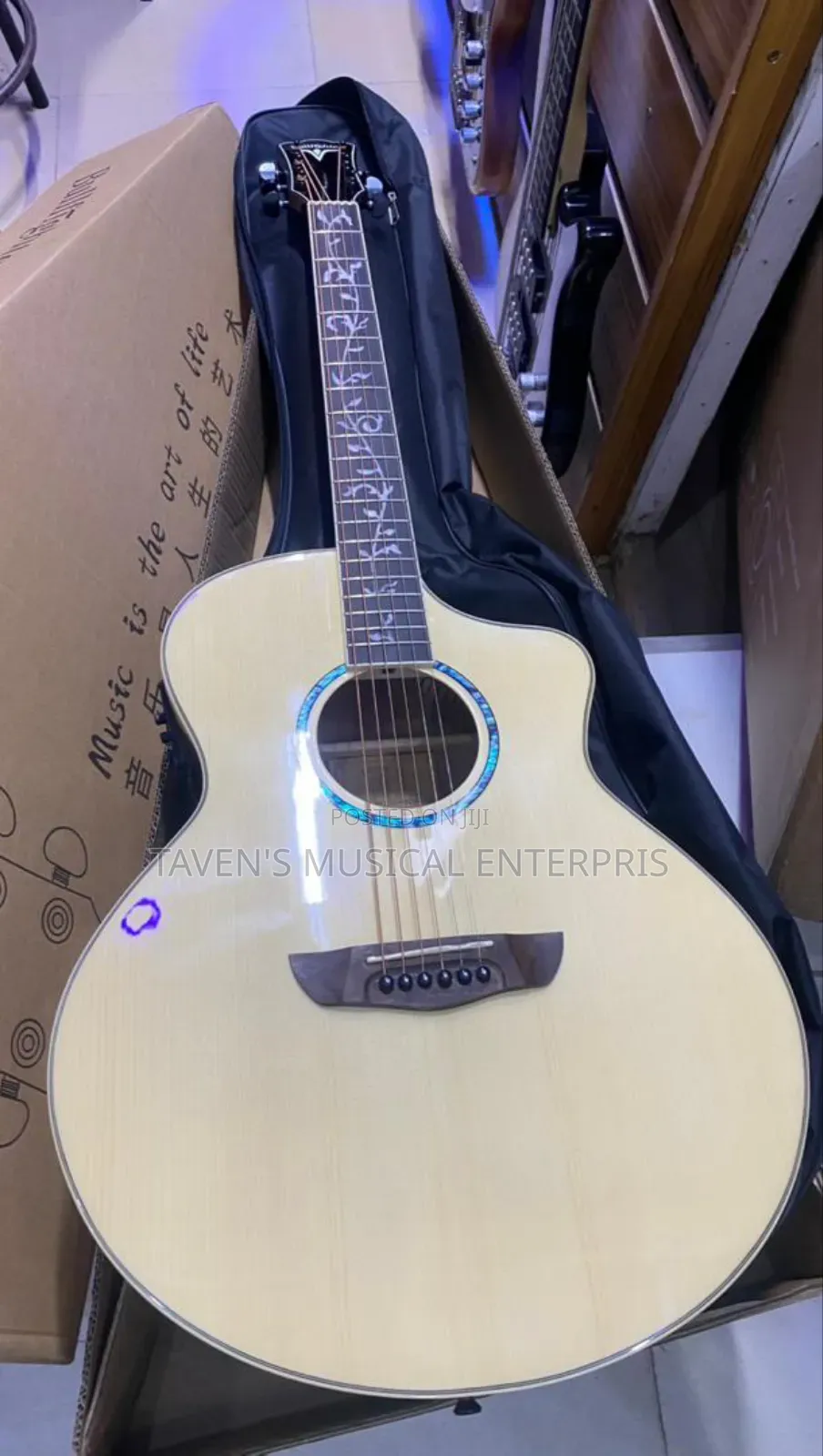 Bullfighter Electro-acoustic Guitar