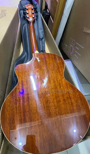 Bullfighter Electro-acoustic Guitar