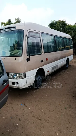 Toyota Coaster 2010 Brown
