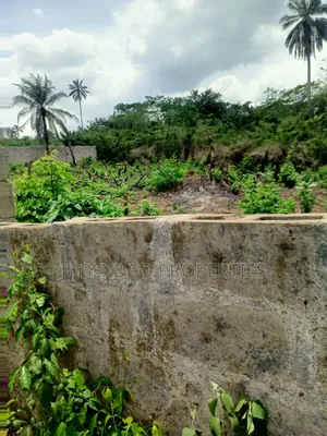 3 Plots for Poultry at Isiun Abeokuta