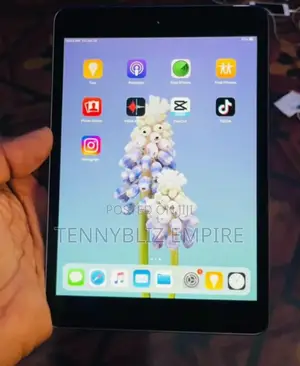 Apple iPad mini 2 16 GB