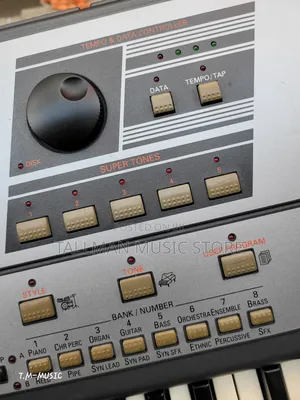 Roland Va-3 Arranger Keyboard