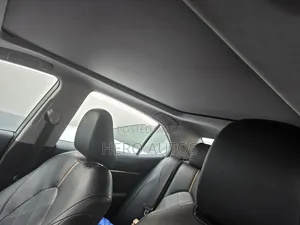 Toyota Camry XLE V6 FWD (3.5L 6cyl 8AM) 2018 Gray