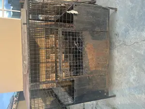 Premium Dog Cage