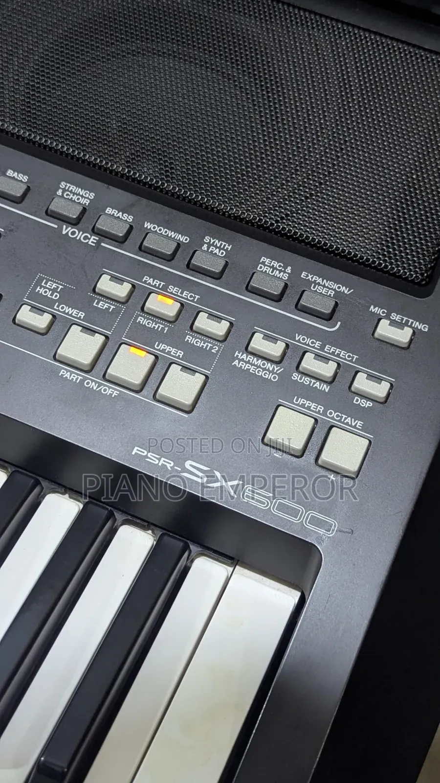 The Ultimate Keyboard Awaits! Yamaha PSR Sx600