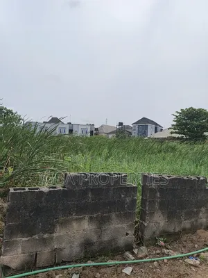 4 and Half Plot With Cofo at Lagoon Estate Ogudu Orioke 350m