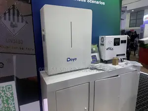 Deye 5kwh Hot Sales Lifep04 Complete Battery