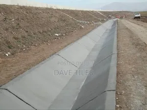 Trapedsodia Drainage