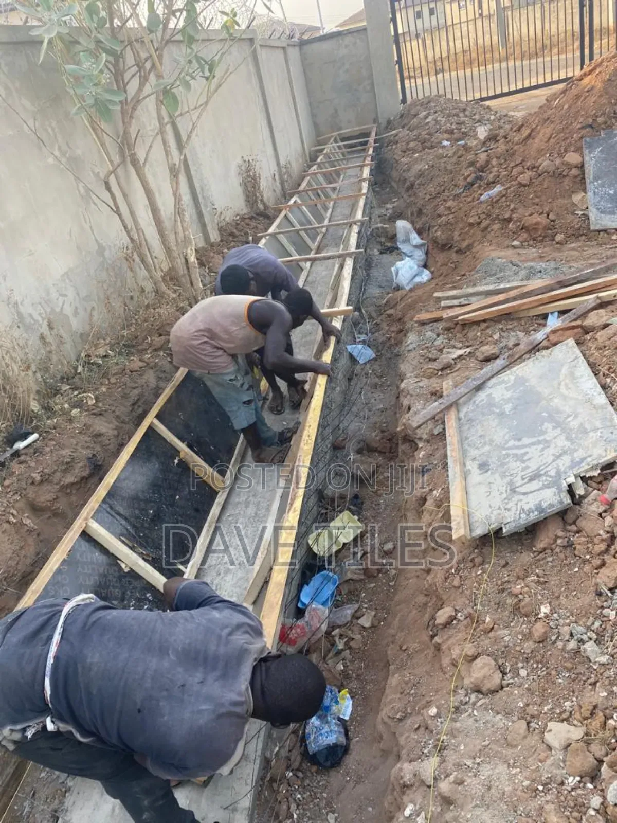 Trapedsodia Drainage