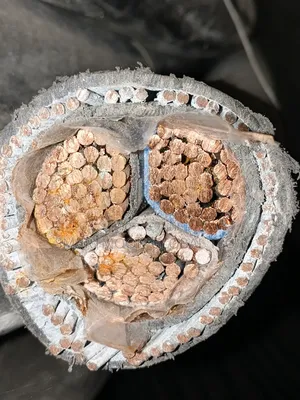 300mm 3core Armored Cable