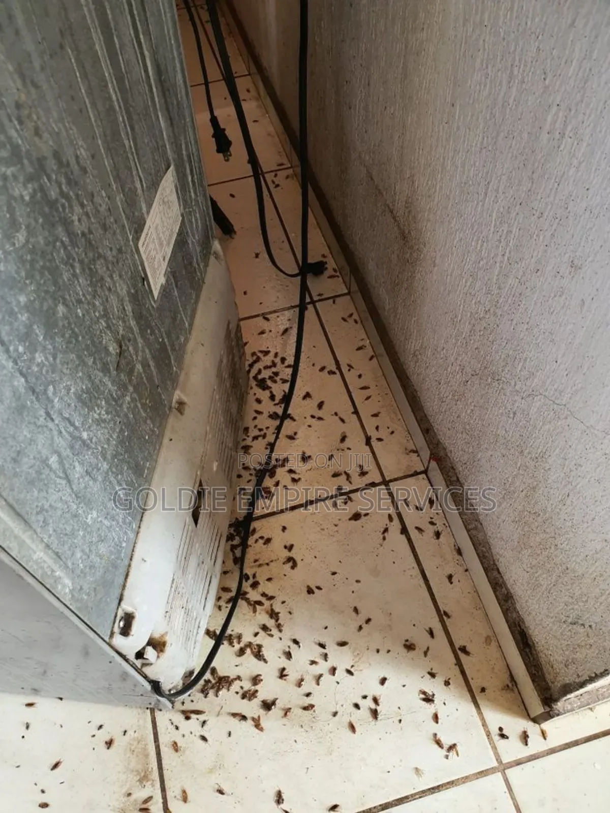 Fumigation