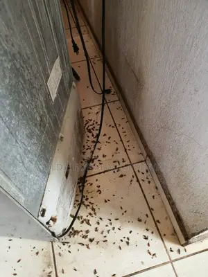 Fumigation