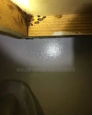 Fumigation