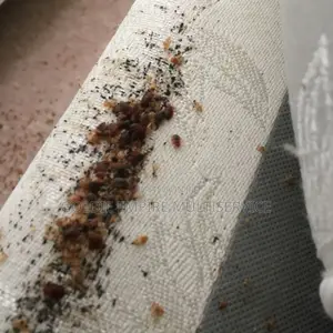 Fumigation
