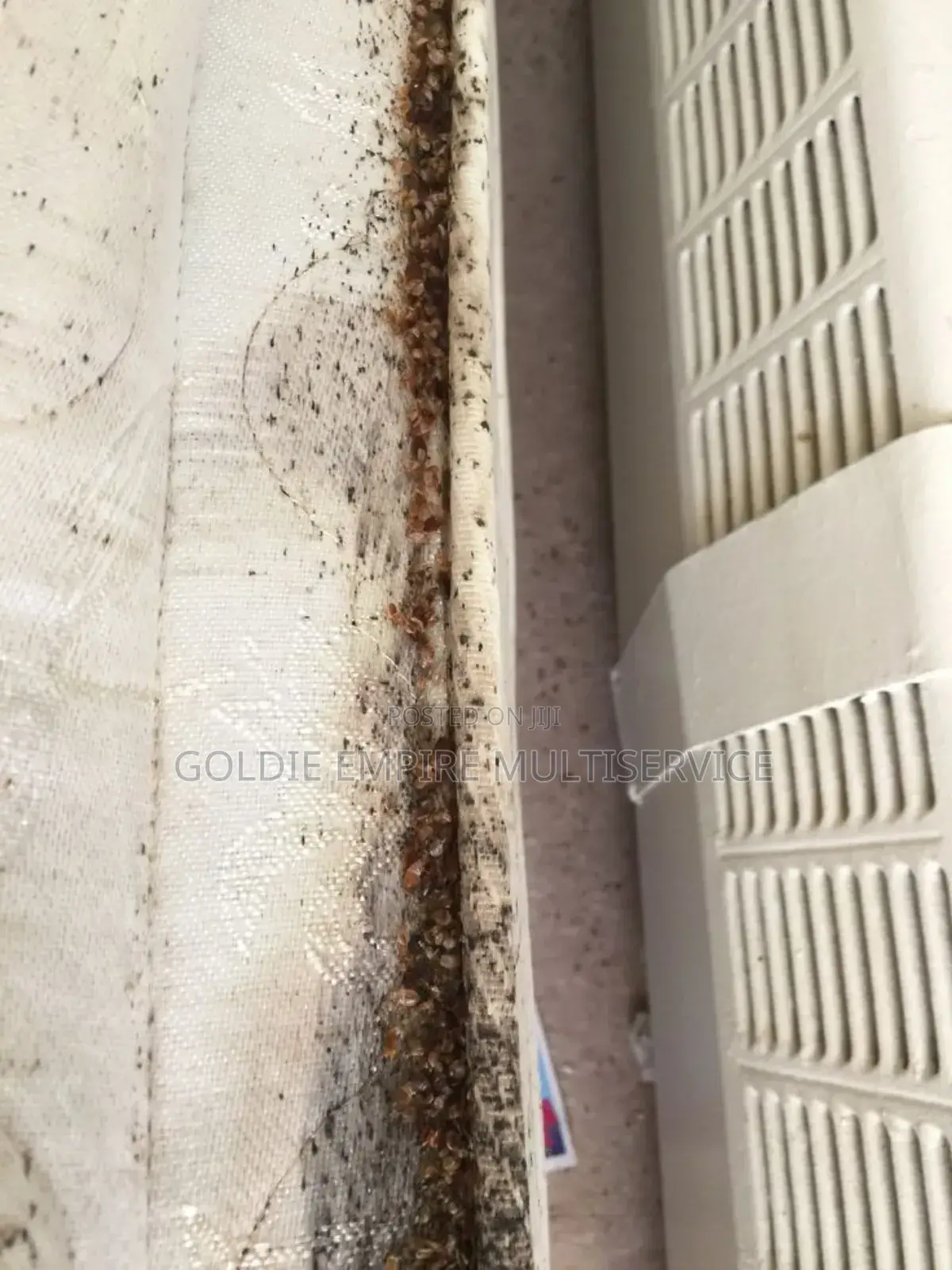Fumigation