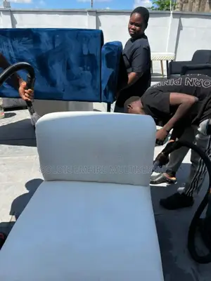 Upholstery/ Couch Washing