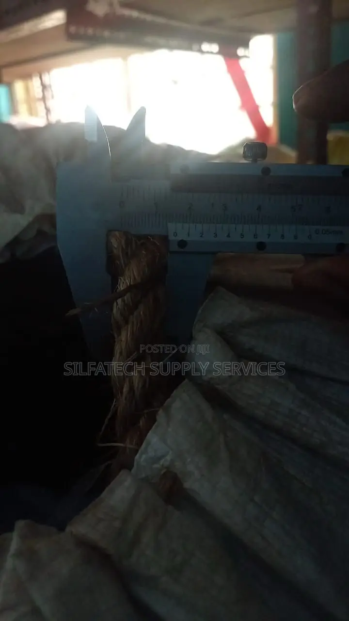 Manila Rope
