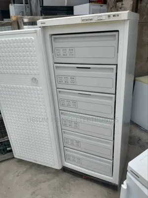 Bosch 6 Steps Standing Freezer