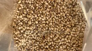 Propaguleconsult Agritech Limited
