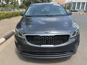 Kia Sedona 2015 Gray