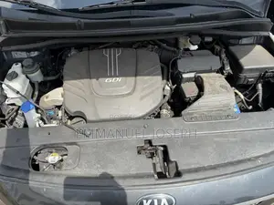Kia Sedona 2015 Gray