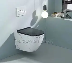 White Marble Wall-Hung Concealed Toilet Seat With Black Seat Cover