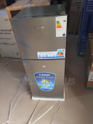 Snowsea Bcd166 Double Door Fridge Fast Freeze Technology