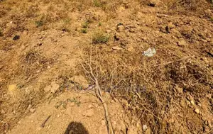 10.18 Hectares Mixed-use Land For Sale In Guzape 2