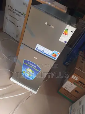 Snowsea Bcd166 Refrigerator Freezer Good for Kitchen Use