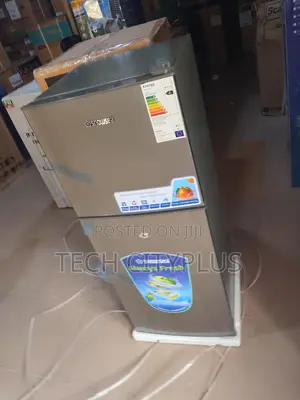 Snowsea Bcd166 Refrigerator Freezer Perfect Storage Solution