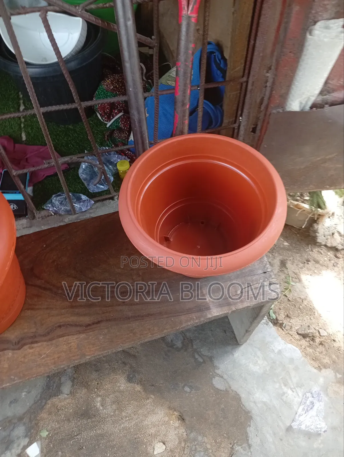 Flower Pot