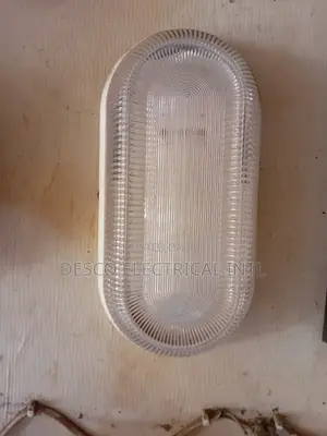 Security Light