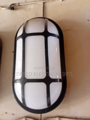 Security Light