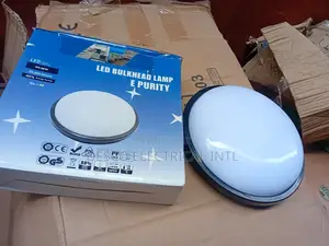 Security Light