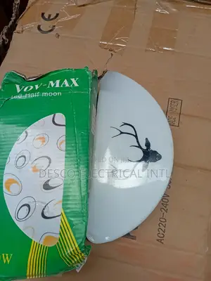 Wall Bracket Light Led