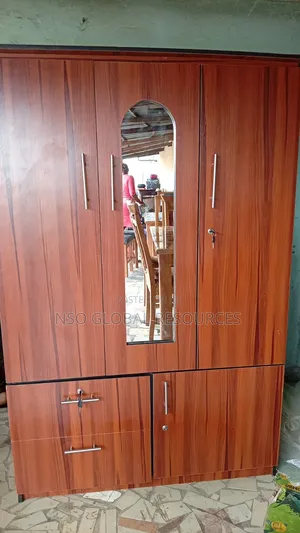 Well Designed Wardrobe With Mirror