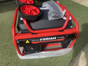 Firman Eco399es – Indoor Outdoor Use