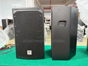 Hanging Speaker Sp12